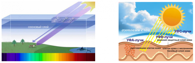 Как выбрать очки для похода в горы (Горный туризм)