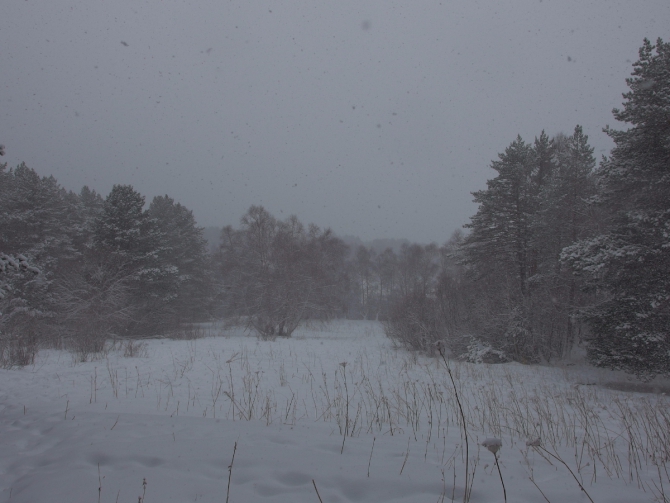 Новогодняя прогулочка по Кавказу с непредсказуемой погодой 2015/2016. (Горный туризм)