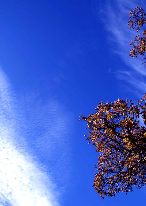 В горах уже совсем осень (карвендель, альпы)