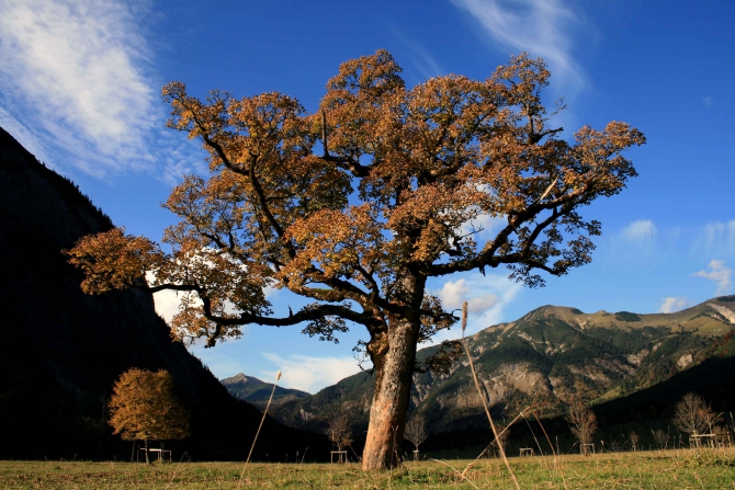 В горах уже совсем осень (карвендель, альпы)