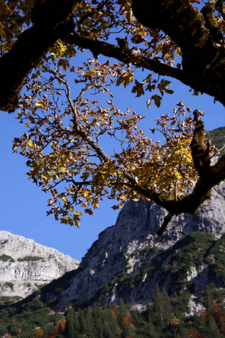 В горах уже совсем осень (карвендель, альпы)