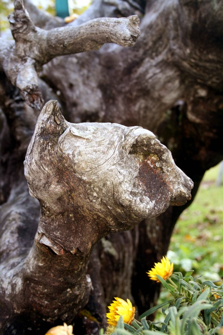 В горах уже совсем осень (карвендель, альпы)
