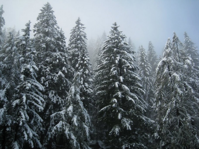 Мескалито (Альпинизм, arco, mescalito)