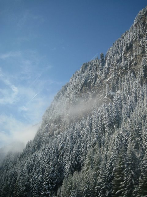 Мескалито (Альпинизм, arco, mescalito)