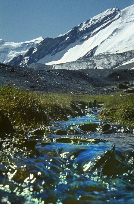 "Золотой" траверс пиков Коммунизма-Корженевской командой Узбекистана. 1975г. Часть 3-я, заключительная. (Альпинизм, траверс п. Коммунизма-Корженевской 1975г., альпинисты Узбекистана, Эльчибеков В.А.)
