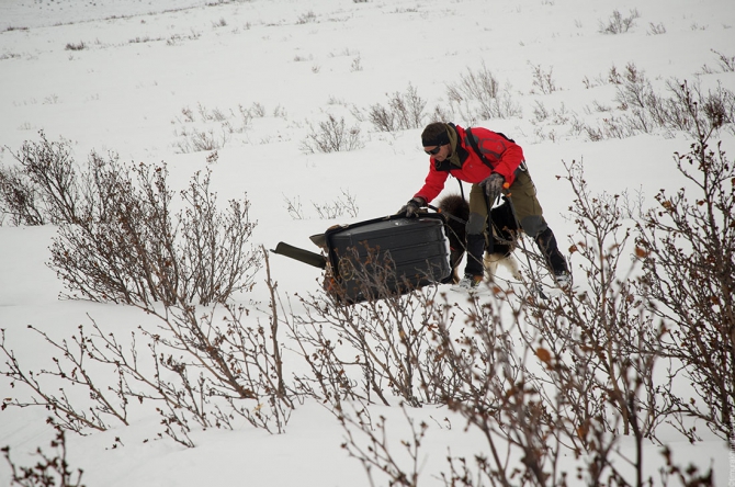 О выборе волокуш для зимнего похода (зима, зимний туризм, лыжный туризм, снаряжение)