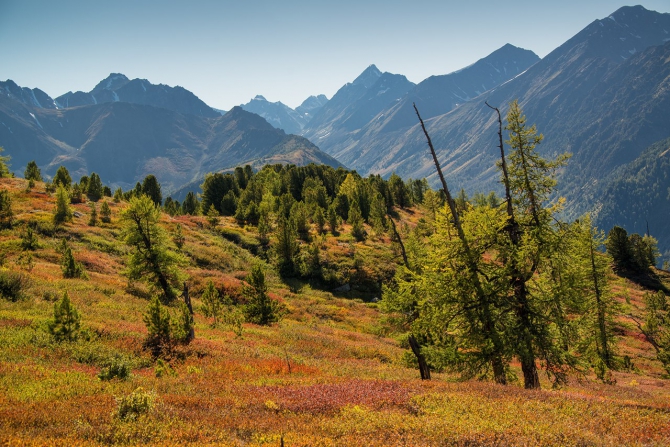 Altai Ultra Trail / Алтай Ультра Трейл (Скайраннинг, Скайраннинг Ультратрейл Алтай Белуха)