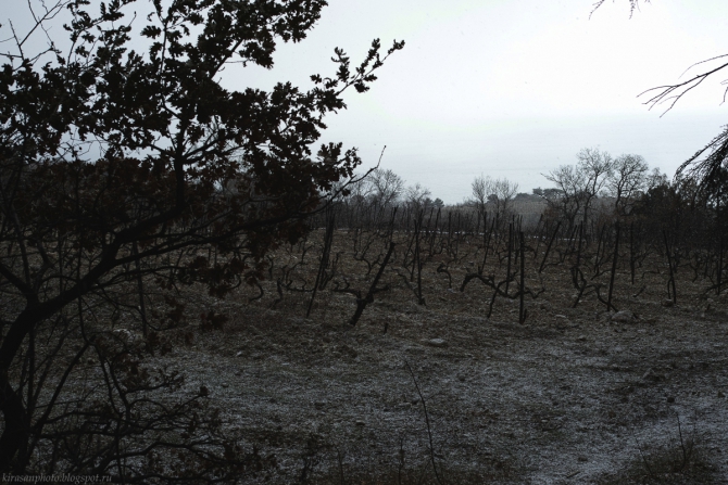 Зимняя Гиперборея. Фото + пара слов (Альпинизм, шаан-кая, крым, krukonogi.com)