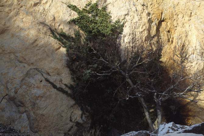 Зимняя Гиперборея. Фото + пара слов (Альпинизм, шаан-кая, крым, krukonogi.com)