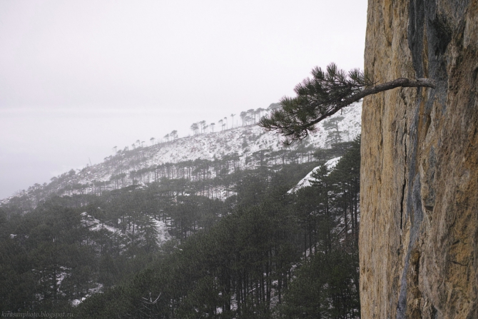 Зимняя Гиперборея. Фото + пара слов (Альпинизм, шаан-кая, крым, krukonogi.com)