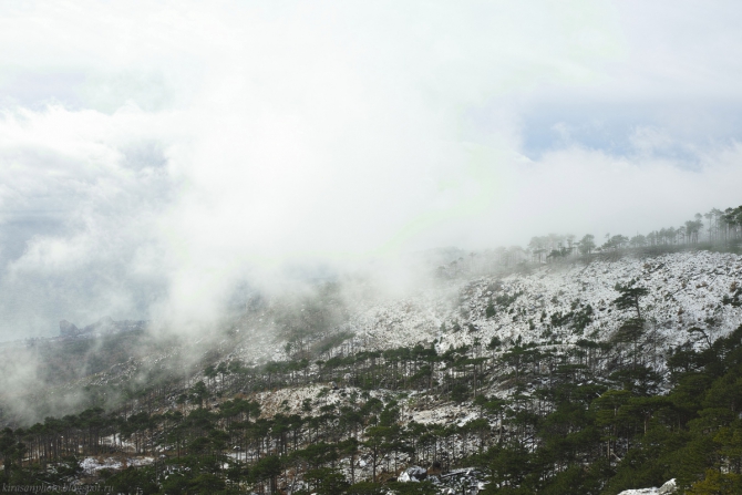 Зимняя Гиперборея. Фото + пара слов (Альпинизм, шаан-кая, крым, krukonogi.com)