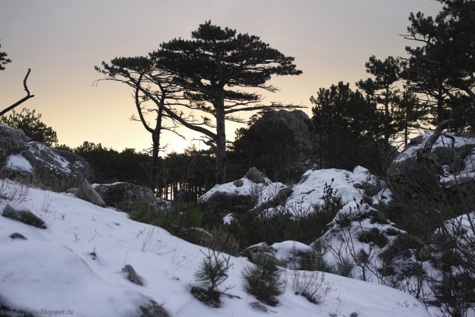 Зимняя Гиперборея. Фото + пара слов (Альпинизм, шаан-кая, крым, krukonogi.com)