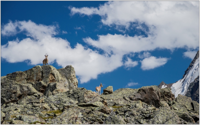 Фотоотчёт о горном походе по Алтаю (+видео). (Горный туризм)