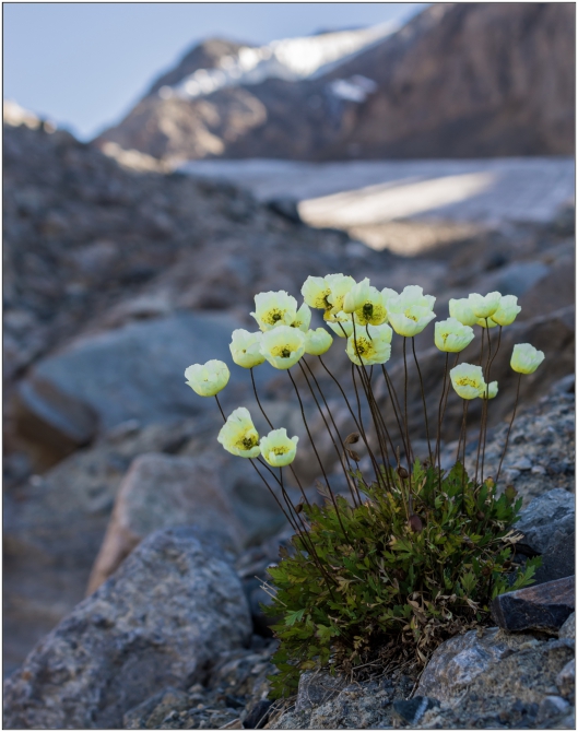 Фотоотчёт о горном походе по Алтаю (+видео). (Горный туризм)