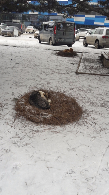 Морчека или как мы на Крещение в море купались… (Альпинизм)