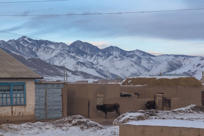 Зимний пик Ленина. Фоторассказ. (Альпинизм, турклуб маи, кичик-алай, заалайский хребет, памир)