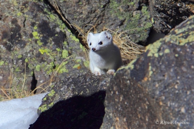 Трансфер на Джилы-Су