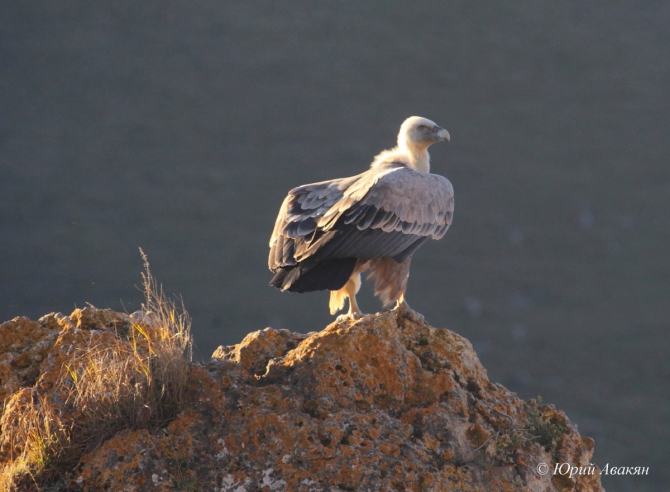 Трансфер на Джилы-Су