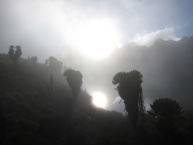 Джамбо, джамбо, Маунтин Кения! (2shapr, mount kenya, африка, венто, Маунт Кения, спортмастер, Нелион)