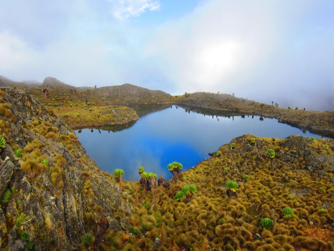 Джамбо, джамбо, Маунтин Кения! (2shapr, mount kenya, африка, венто, Маунт Кения, спортмастер, Нелион)