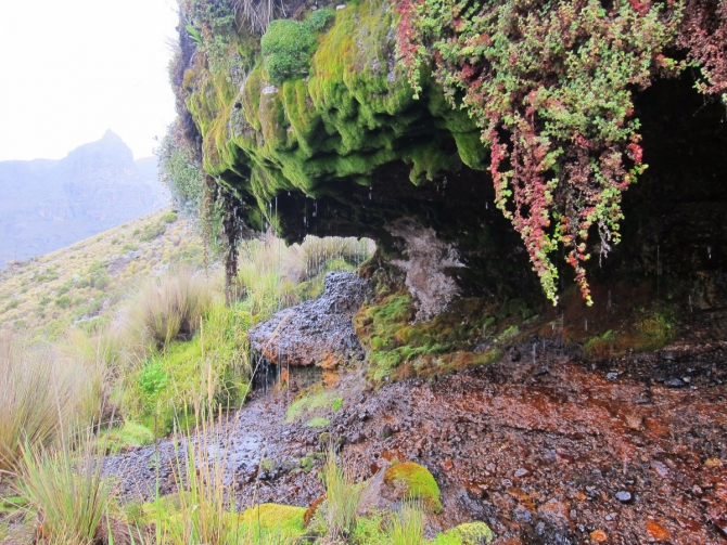 Джамбо, джамбо, Маунтин Кения! (2shapr, mount kenya, африка, венто, Маунт Кения, спортмастер, Нелион)