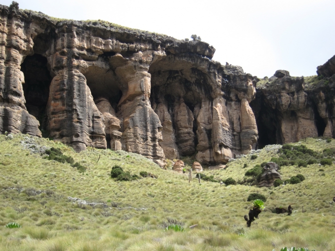 Джамбо, джамбо, Маунтин Кения! (2shapr, mount kenya, африка, венто, Маунт Кения, спортмастер, Нелион)