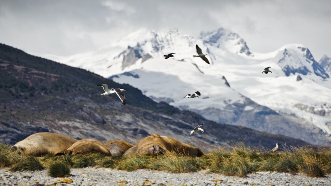 Patagonian Expedition Race: Последняя Дикая Гонка на самом краю Земли (Мультигонки, cordillera darwin, магелланов пролив, патагония, выживание, приключенческие гонки, gore-tex, red fox, огненная земля)