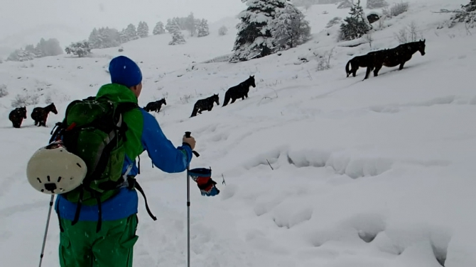 Ски-тур в Теберде и Домбае в январе- феврале 2016 года (домбай, роман губанов, алибек, домбай-ульген)
