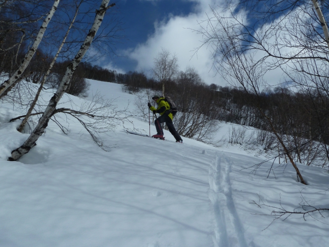 Ски-тур в Теберде и Домбае в январе- феврале 2016 года (домбай, роман губанов, алибек, домбай-ульген)
