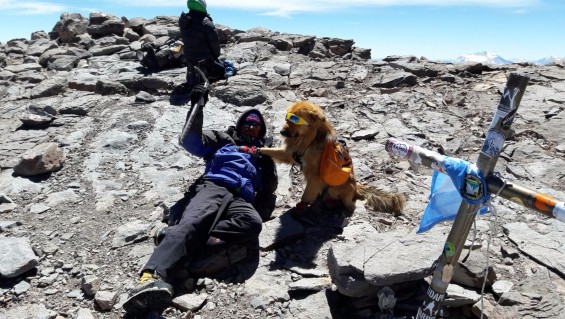 Клуб 7 Вершин приглашает в гости: 17 и 31 марта (Альпинизм, эверест, 7 вулканов, абрамов, килиманджаро)