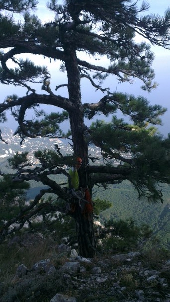 Описание прохождения маршрута "Семь вершин" ("7 вершин" - мультипитч 18 веревок) на горе "Ай-Петри" (Крым, Скалолазание)