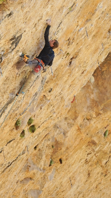 До фестиваля скалолазания в Воронеже осталось 2 дня! (Скалолазание, михаил черников, скалолазание, фестиваль, Сергей Нурмаматов, Николай Гирский)