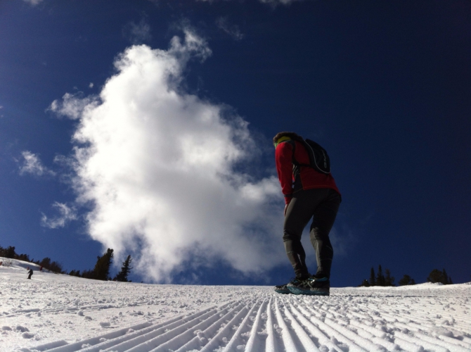 image-21-03-16-11-53-3