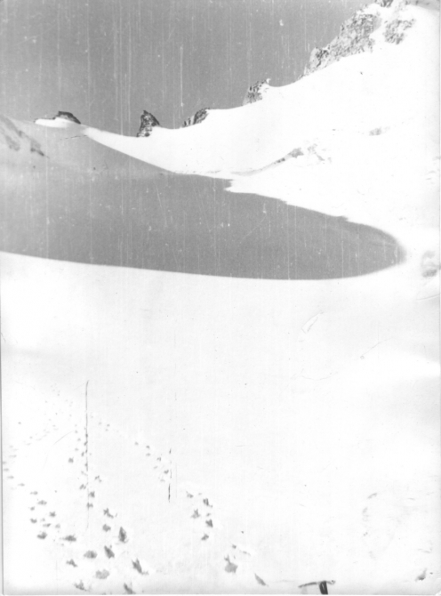 Помогите опознать фотографии из походов ферганских туристов по Памиро-Алаю (или еще каких-то ближних к Фергане горных районов, Горный туризм)