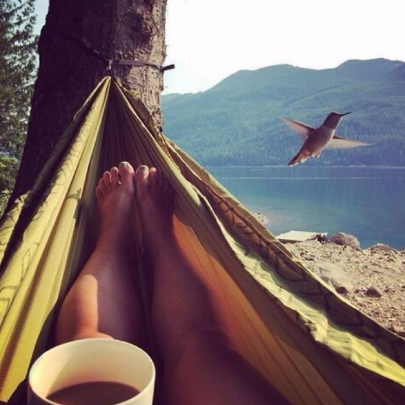 Необычное снаряжение для похода от иностранных производителей