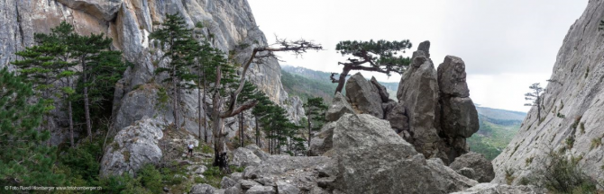 Швейцарец Рудольф Хомбергер: Кавказ, Крым и след в истории отечественного альпинизма (история, безенги, чемпионат ветеранов, юрий машков, международные соревнования, крутые)