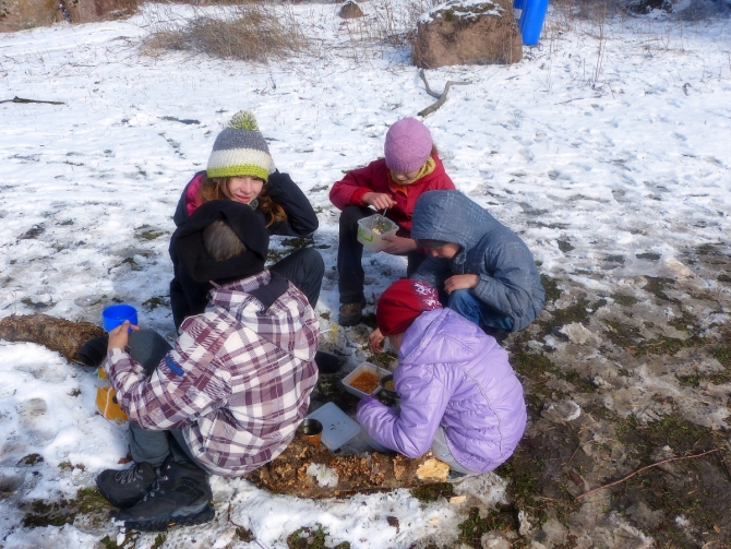 В Кабардино- Балкарии завершился первый открытый фестиваль по боулдерингу "БОУЛДЕР-ФЕСТ "ЛЕЧИНКАЙ 2016" (Скалолазание, Кавказ; скалолазание; Кабардино-Балкария; Карина Мезова; Альпклуб)