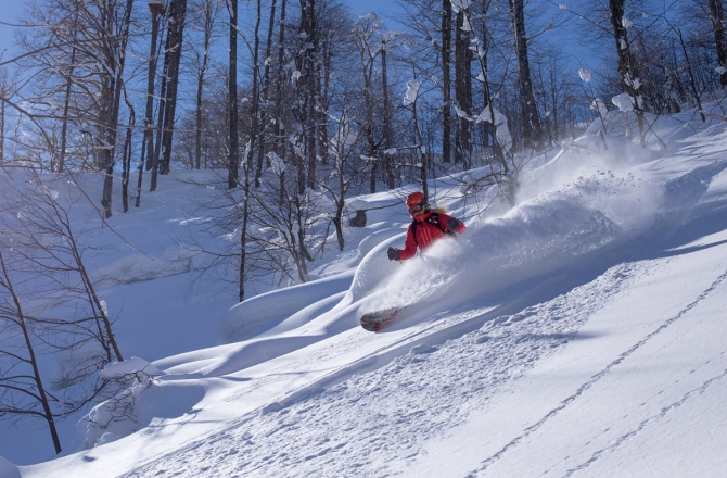 Целина. Инна Диденко: "В Поляне собрались лучшие фрирайд-гиды России!" (Бэккантри/Фрирайд, горы, сочи, красная поляна, интервью)