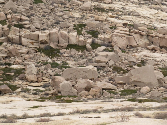 UBF9 Бектау /|\ боулдеринговый фестиваль на всамделешных скалах! (Скалолазание, крутота, МГКВосхождение)