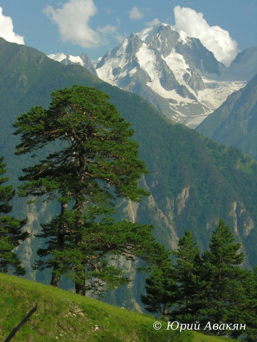 Восхождение на Эльбрус с Востока (Альпинизм)