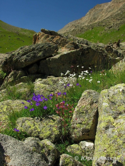 Восхождение на Эльбрус с Востока (Альпинизм)