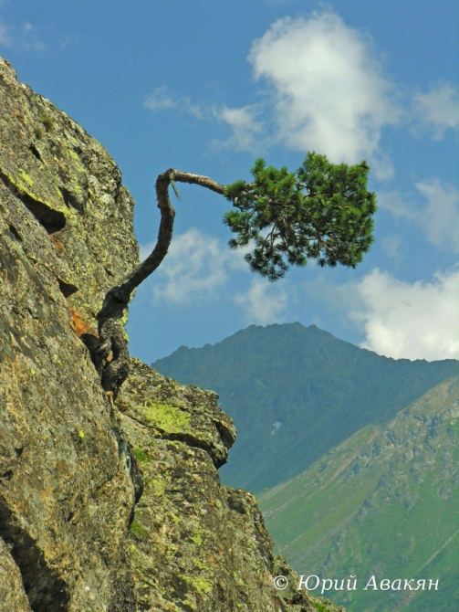 Восхождение на Эльбрус с Востока (Альпинизм)