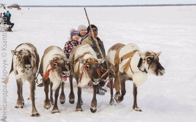 А вот еще фотографии с двух праздников на Ямале... (Путешествия, Аксарка, Лабытнанаги, день оленевода, день вороны, дети, лица, ворона, шаман)