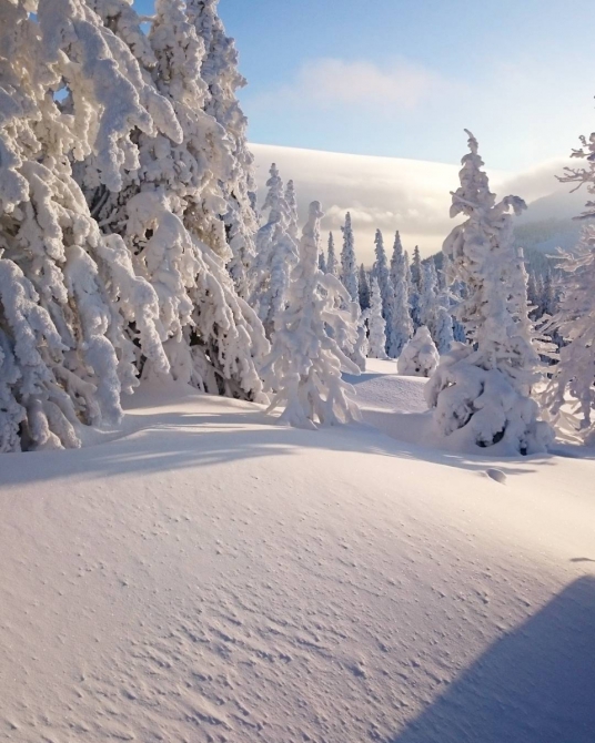 Фотоконкурс "Оставь свой след в целине": объявляем победителей! (Бэккантри/Фрирайд, фрирайд, целина, сноуборд, горные лыжи)