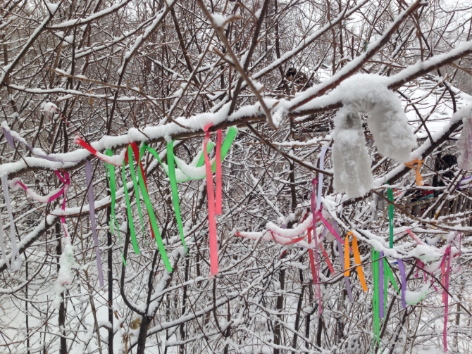 Дневник юного альпиниста или Весенняя Кынгарга 2016 (Альпинизм)