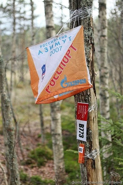 ROCКировка. До начала фестиваля меньше 2х недель (rockировка, outdoor фестиваль, скальный фестиваль, карелия, ястребиное, альпиндустрия, скалолазание, соревнования)