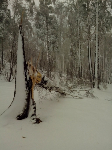 7-9 мая - Скалолазный Фестиваль «Шиханская Весна 2016» (Альпинизм, мгк восхождение, фасо, СДЮСШОР горных видов спорта, екатеринбург, челябинск, снежинск, трэд, домбайские связки)