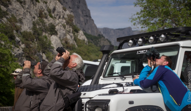2016 пенчионат Севастополя или Мир-Крым-Май (Альпинизм, севастополь, чемпионат скальный класс, форкант, мшатка, тфа, темерев, копытов, томск)