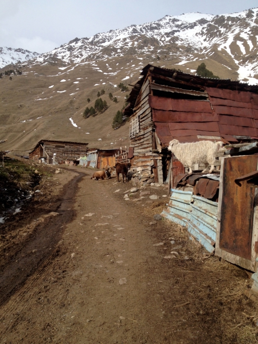 Скитур и фрирайд Приэльбрусье - Безенги. Часть 1 "Приэльбрусье 10 лет спустя" (Ски-тур)