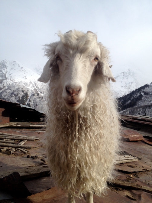 Скитур и фрирайд Приэльбрусье - Безенги. Часть 1 "Приэльбрусье 10 лет спустя" (Ски-тур)